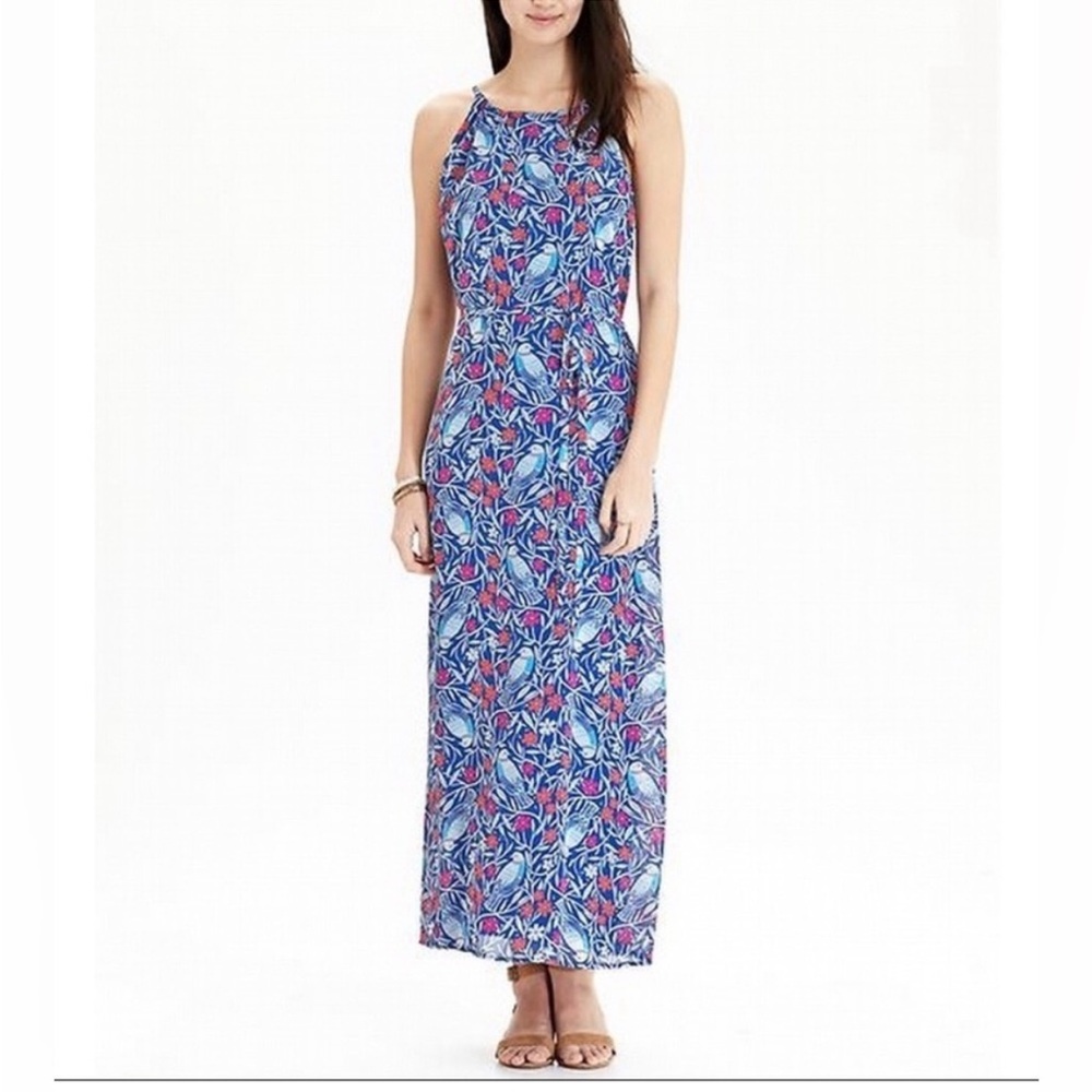 Old Navy Maxi Dress-Size M- Long Floral &‎ Birds-Blue-Lined-Belt Inc- Garden
